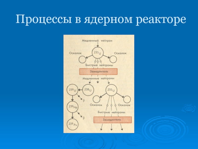 Ядерные процессы. Процессы в ядерном реакторе. Схема процессов в ядерном реакторе. Реакция на медленных нейтронах. Процессы происходящие в ядерном реакторе.