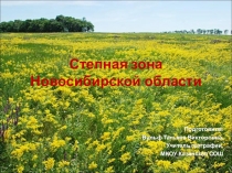 Презентация по географии на тему Степная зона Новосибирской области (8 кл)