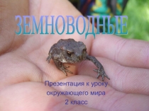 Презентация по окружающему миру на тему Земноводные.