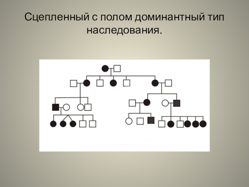 Типы наследования презентация