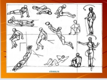 Презентация по теме:Опорно-двигательная система человека