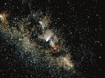 Экологическая акция-митинг Бой Королю Мусора и Принцессе Замарашке