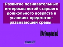 Развитие познавательных интересов детей старшего дошкольного возраста в условиях предметно- развивающей среды