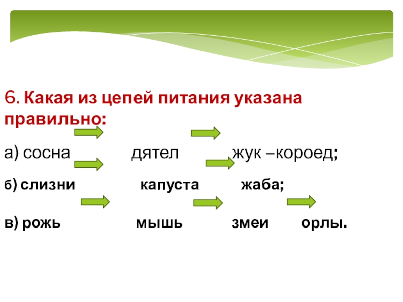 Цепи питания сосна дятел жук короед. Какая из цепей питания указана правильно. Сосна дятел Жук короед цепь питания правильно или нет. Какая цепь питания верно сосна дятел Жук короед. Какая из цепей питания указана правильно 3 класс.