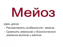 Презентация по биологии 9 класс тема Мейоз