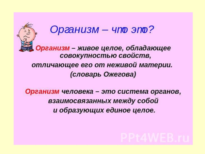 Организм определение. Организм. Организм это в биологии. Организм человека это определение.