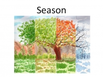 Презентация к проекту по английскому языку Seasons Мишиной Софии и Антощенко Натальи