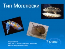 Презентация по биологии на тему: Моллюски