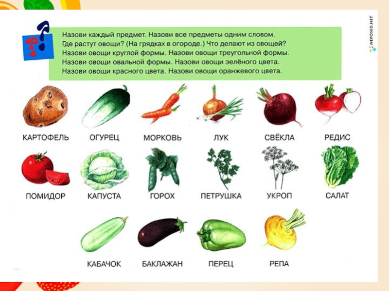 Имена существительные овощи. Овощи для детей дошкольного возраста. Овощи с названиями для детей. Овощи и фрукты для дошкольников. Овощи классификация для детей.