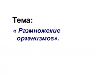 Презентация по биологии Размножение организмов