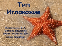 Презентация по биологии на тему Тип Иглокожие (7 класс)