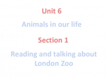 Презентация по английскому языку Reading and talking about London Zoo 6 класс