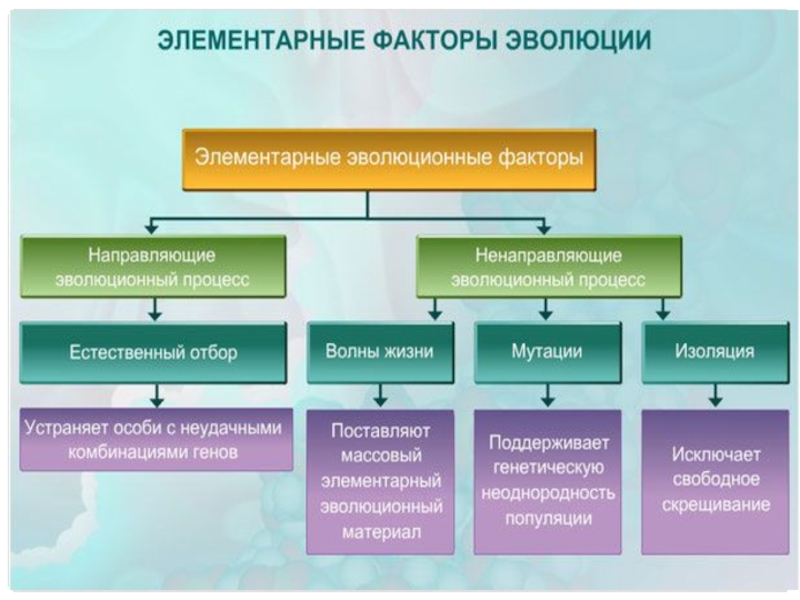 Факторы эволюции презентация 11 класс биология