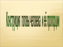 Презентация по ИЗО на тему Конструкция головы человека и ее пропорции 6 класс