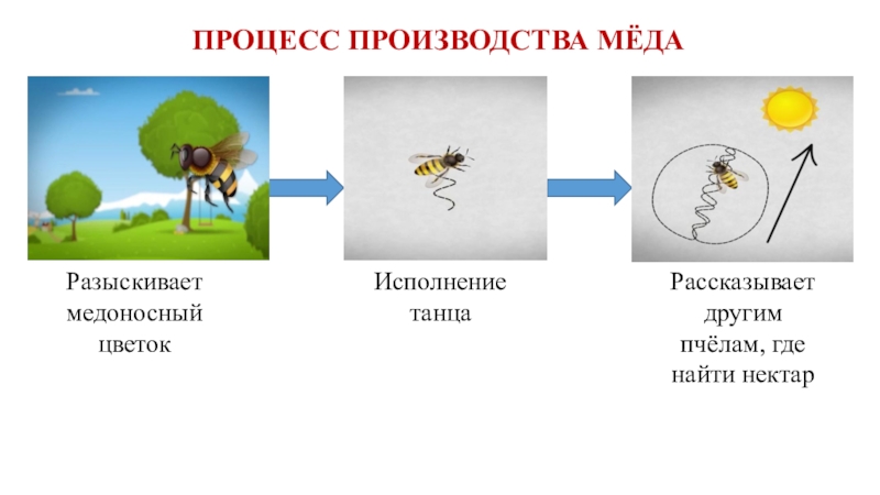 Откуда берутся шоколад изюм и мед презентация 1 класс школа россии презентация