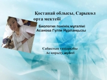 Презентация Ас қорыту 8 сынып