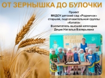 Проект От зернышка до булочки