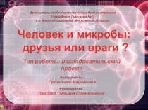 Исследовательская работа Микробы и человек. Друзья или враги