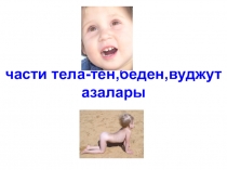 Презентация по крымскотатарскому языку Части тела человека (Адамнынъ беден азалары)