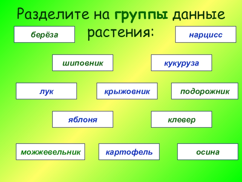 Презентация 3 класс окружающий мир растениеводство 3 класс окружающий мир