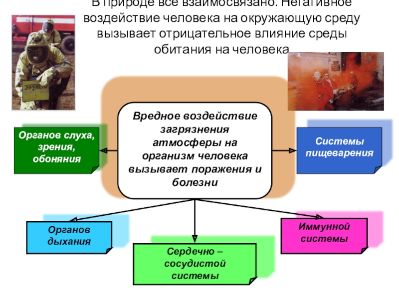 Презентация нарушение экологического равновесия обж 5 класс