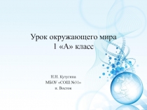 Презентация к уроку окружающего мира Почему идет дождь и дует ветер?