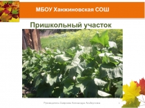 Пришкольный участок