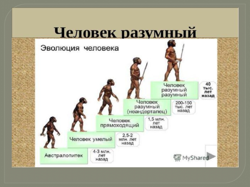 Презентация на тему как появился человек на земле 5 класс биология