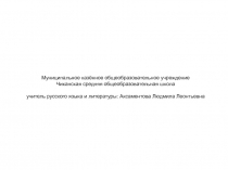 Презентация по русскому языку на тему  Чудеса фразеологии