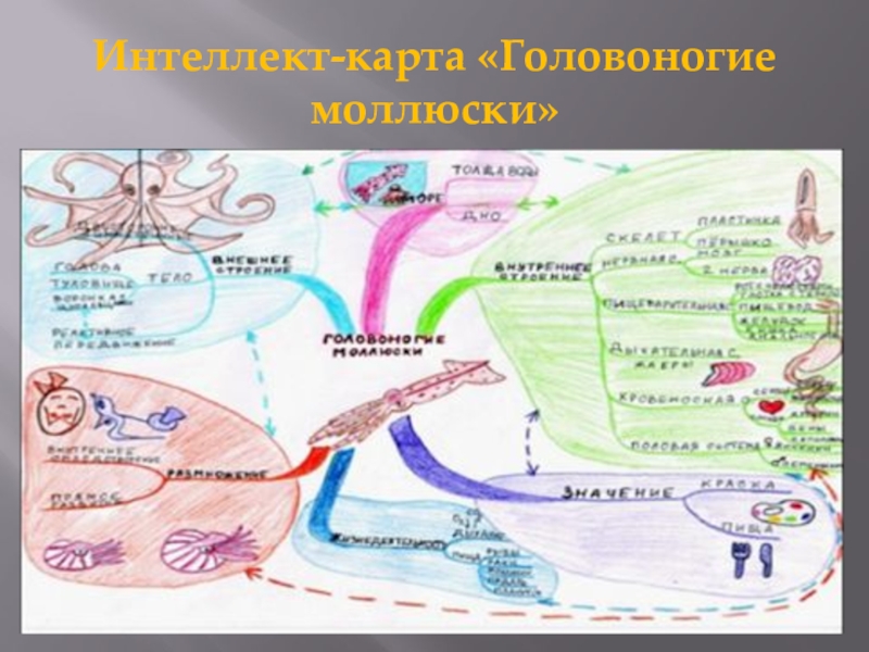 Интеллект карта школа