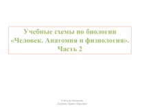 Человек. Анатомия и физиология эндокринной, дыхательной и пищеварительной систем (учебные схемы)