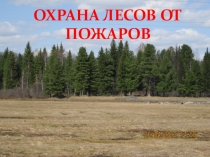 Презентация по географии на тему Охрана лесов от пожаров
