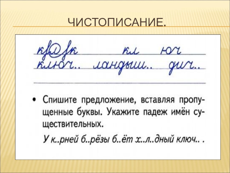 Чистописание по русскому языку 4 класс образцы