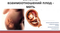Физиологические аспекты взаимоотношений плод – мать
