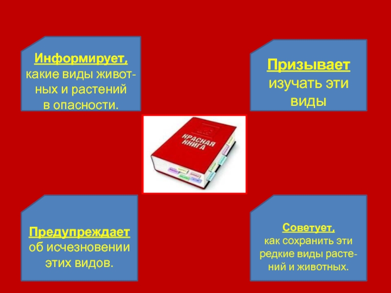 Презентация для 1 класса красная книга