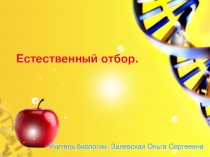 Естественный отбор и его формы