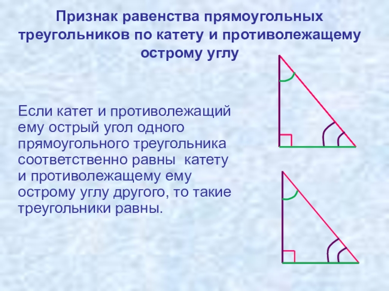 Прямоугольные треугольники равны. Признак равенства треугольников по катету углу. Признак равенства треугольников по катету и противолежащему углу. Равенство прямоугольных треугольников по катету и острому углу. Признак равенства треугольников по катету и прилежащему острому углу.