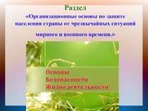 Презентация по ОБЖ на тему МЧС России 9 класс