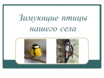 Проект исследовательской работы по окружающему миру