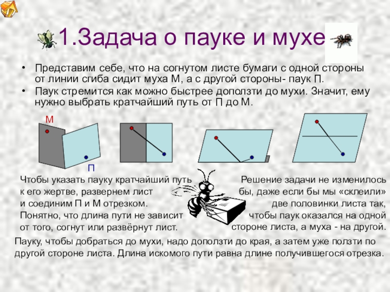 1 сторона листа. Задача о пауке и мухе решение. Задача про паука и муху. Задача о пауке и мухе развертка. Задачи с пауками и ответом.