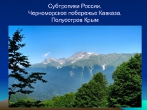 Презентация урока географии Субтропики России