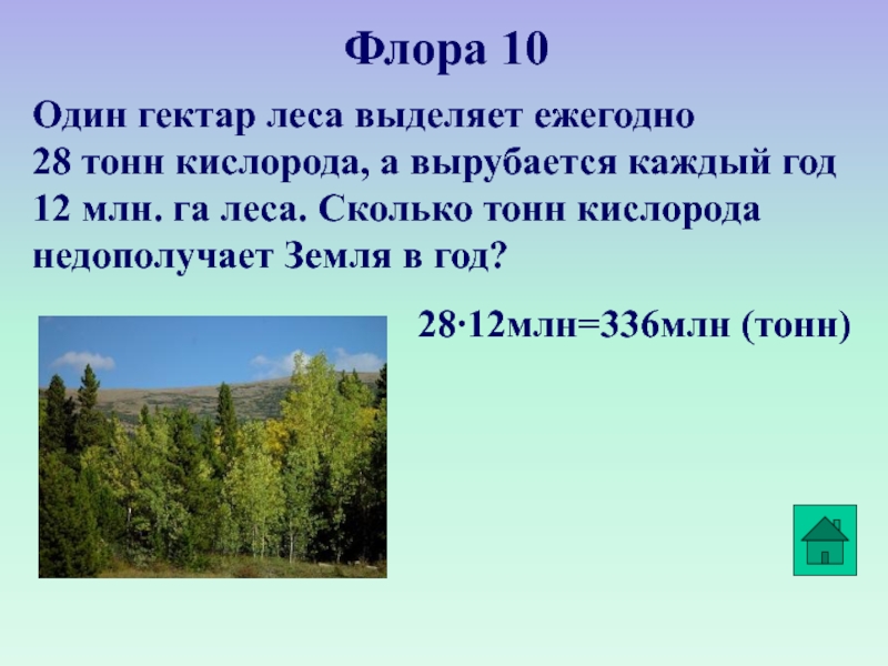 Га леса. Гектар леса это сколько. Сколько гектаров леса вырубается ежегодно. Один гектар леса. Один гектар леса выделяет кислорода.