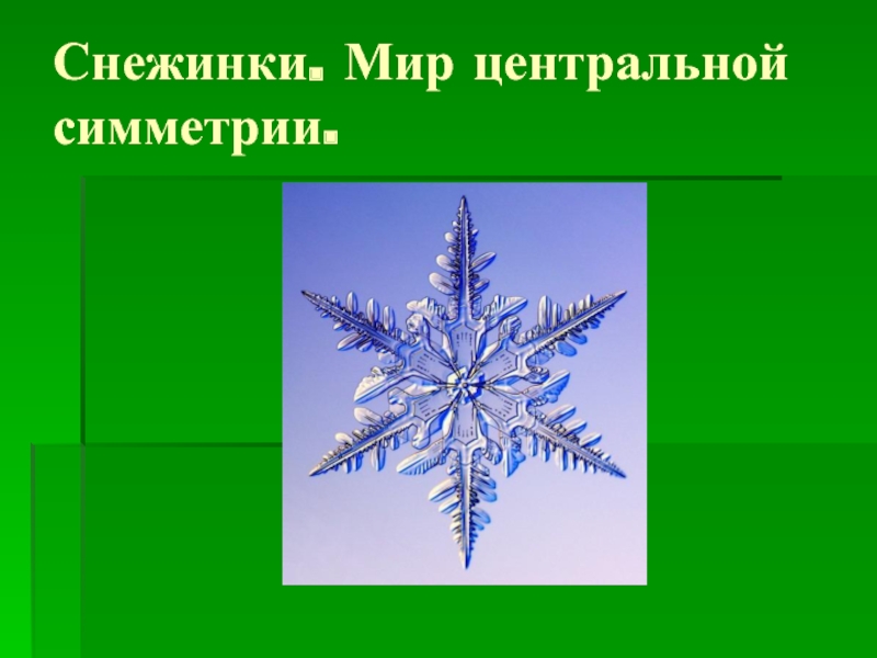 Симметрия снежинки. Центральная симметрия Снежинка. Радиальная симметрия снежинок. Лучевая симметрия снежинки. Снежинки мир центральной симметрии.