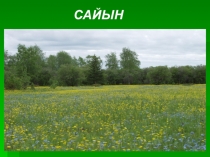 Презентация классного часа Сайын