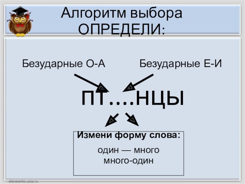 Алгоритм подбора проверочного слова. Алгоритм выбора суффикса у глагола. Памятка Неопределенная форма глагола 3 класс. Алгоритм как подобрать проверочное слово.