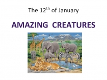 Презентация по английскому языку по теме Amazing creatures (5 класс)