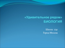 Презентация по биологии Удивительное рядом