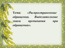 Тема: Распространенные обращения. Выделительные знаки препинания при обращении.