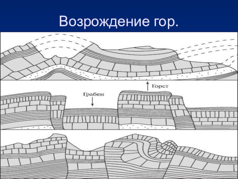 Складчатый рельеф. Возрожденные глыбовые горы. Горсты и грабены горы возрожденные. Складчато-глыбовые хребты. Складчатые и складчато-глыбовые горы.