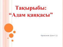 Адам қаңқасы